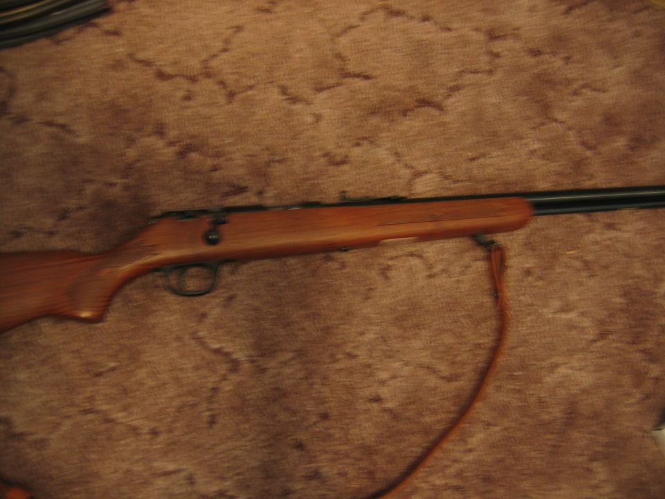 Wooden stock rifle with leather strap on brown textured surface
