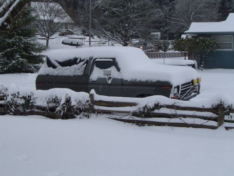 1989 Ford Bronco