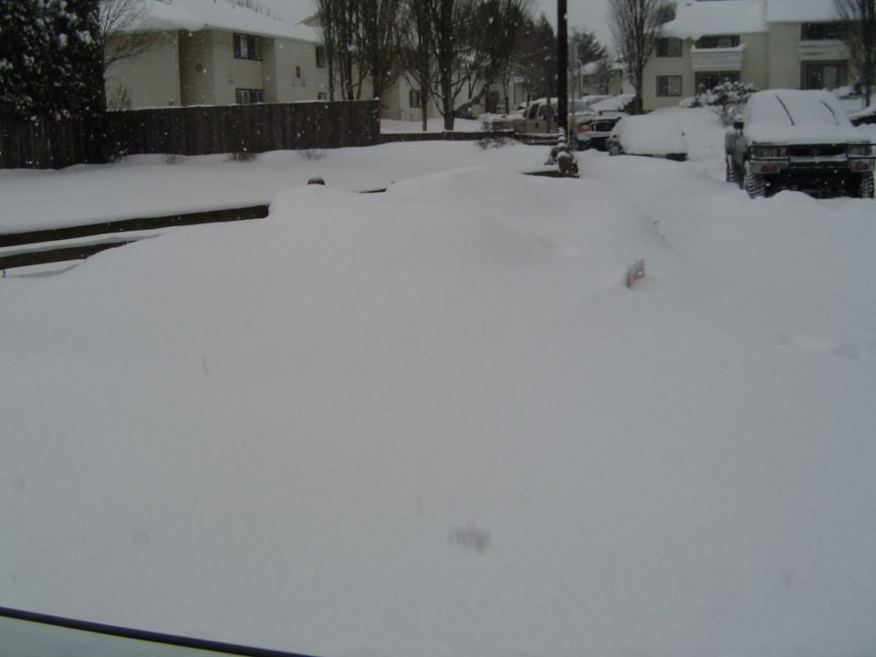 1989 Ford Bronco covered in snow on a street.