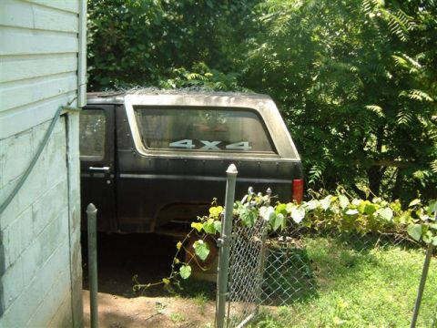 1982 Ford Bronco - 1982 Ford Bronco parked next to a building with overgrown vegetation.