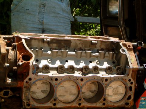 1982 Ford Bronco - Not too rusted in the cylinders.