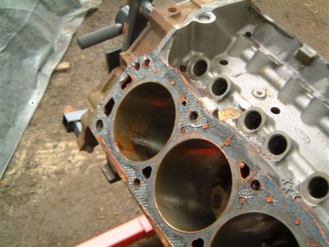 1982 Ford Bronco - Only one cylinder caught some water after 5 years.