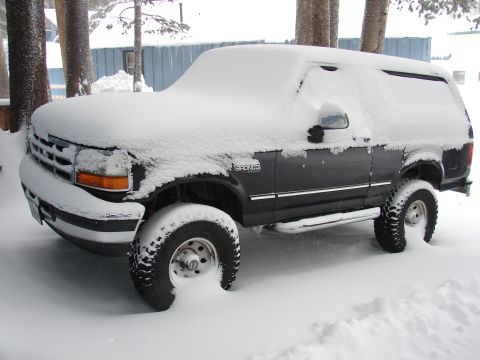 1996 Ford Bronco - A dark 1996 Ford Bronco is partially buried in snow, parked outdoors in a wooded area.