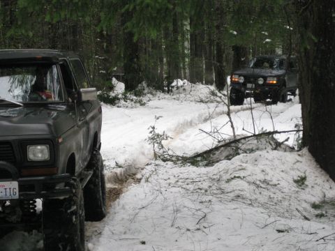 1979 Ford Bronco - Two trucks navigate a snow-covered path through a dense forest.