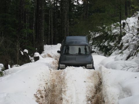 1979 Ford Bronco - A dark SUV navigates a snow-covered forest road, its tires leaving tracks in the slush.