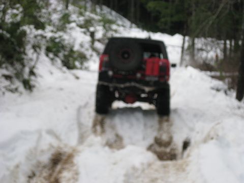 1979 Ford Bronco - Off-road vehicle navigates a snowy path with trees in the background.