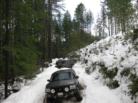 1979 Ford Bronco - Multiple SUVs navigate a snow-covered path through a dense forest.