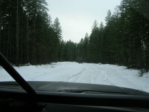 1996 Ford Bronco - An SUV navigates a snowy path between dense evergreen trees.