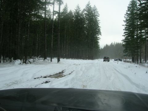 1996 Ford Bronco - A 1996 Ford Bronco navigates a snowy forest road during the Tahuya Snow Run.