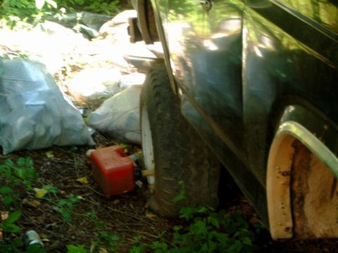 1982 Ford Bronco - Low side view of a dark green truck sitting in weeds and brush, showing an aggressive-tread tire on a white wheel and a rear fender flare w…
