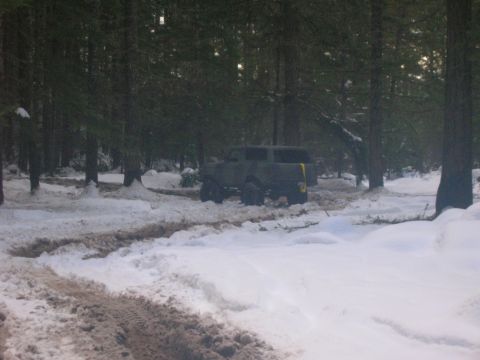 1996 Ford Bronco - A dark-colored SUV navigates a snowy, wooded area, leaving tracks in the mud and snow.
