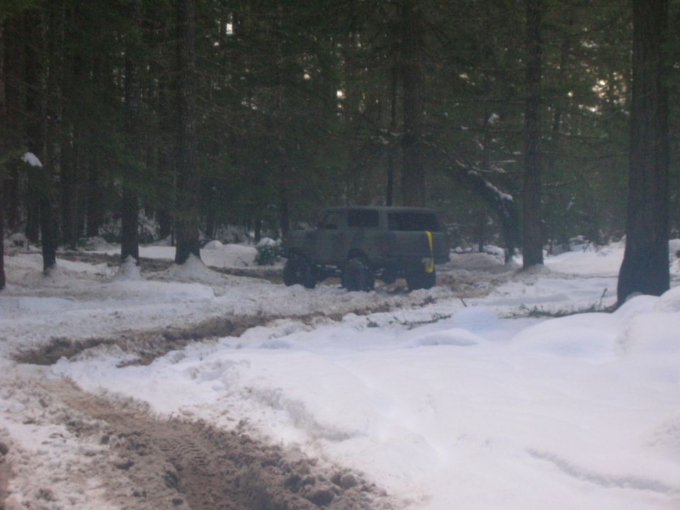 Dark SUV with large tires in a snowy forest, rear view