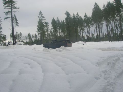 1996 Ford Bronco - A dark SUV navigates a snow-covered landscape with dense trees in the background.