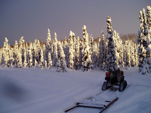 2000 Ford E350 - A snowmobile tows a sled across a snowy landscape with snow-covered trees.