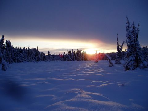 2000 Ford E350 - A vast, snow-covered landscape is illuminated by the warm glow of a setting sun behind a line of trees.