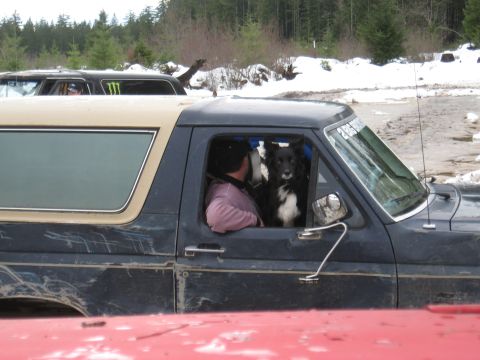 1989 Ford Bronco - A dog and person are inside a 1989 Ford Bronco during an off-road outing in a snowy environment.