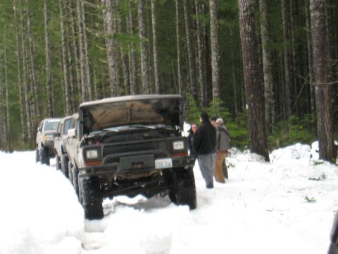 1989 Ford Bronco - A line of off-road vehicles, including a Ford Bronco with its hood up, are parked in a snowy forest.