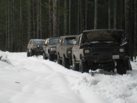 1989 Ford Bronco - A line of SUVs, including a 1980 Ford Bronco, navigate a snowy forest road.