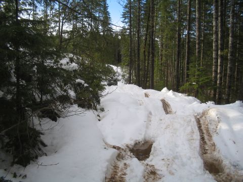 1989 Ford Bronco - A dark SUV navigates a snow-covered forest road, leaving tire tracks in its wake.