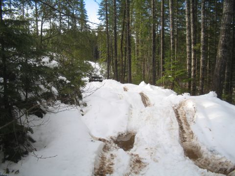1989 Ford Bronco - Deep snow and mud create challenging conditions on a forest road, with a vehicle barely visible in the distance.