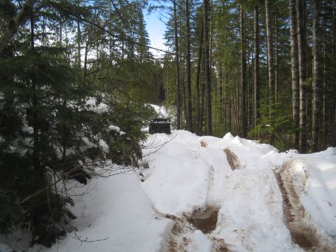 1989 Ford Bronco - An SUV navigates a snowy path through a dense forest.