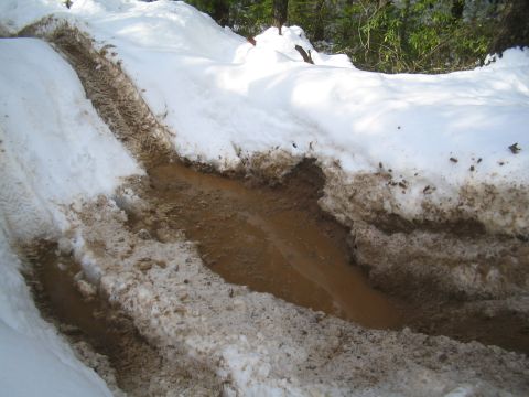 1989 Ford Bronco - A muddy track with tire ruts cuts through snow, leading to a muddy puddle.