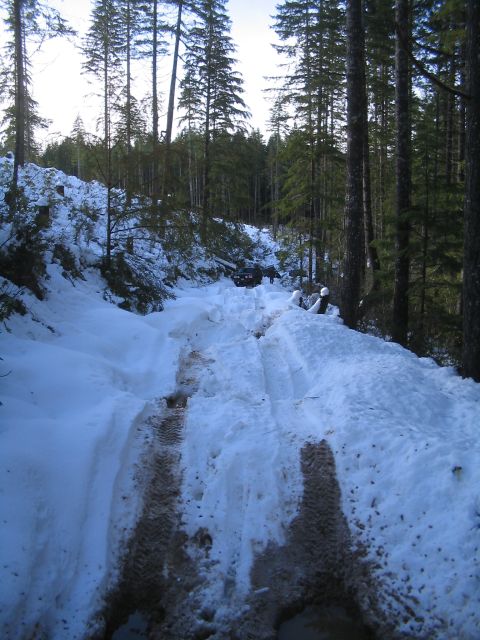 1989 Ford Bronco - A vehicle navigates a snowy path through a dense forest, leaving tracks in the snow.