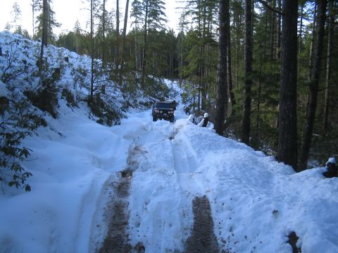 1989 Ford Bronco - A black 1989 Ford Bronco navigates a snow-covered path through a dense forest.