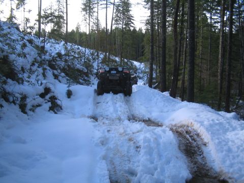 1989 Ford Bronco - An SUV navigates a snowy trail through a dense forest.