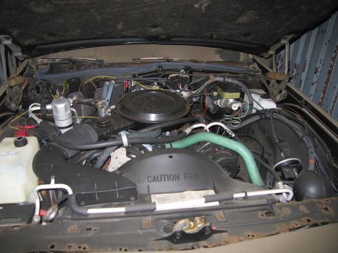 1991 Ford LTD Crown Victoria - The engine bay of a vehicle is shown with the hood open, revealing the motor and associated parts.