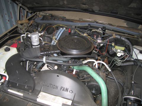 1991 Ford LTD Crown Victoria - Engine bay details, including air intake, hoses, and brake fluid reservoir. Text on fan shroud reads "CAUTION FAN".