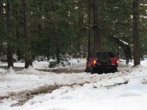 1979 Ford Bronco - A red 1979 Ford Bronco navigates a snowy, wooded trail during the Tahuya Snow Run.