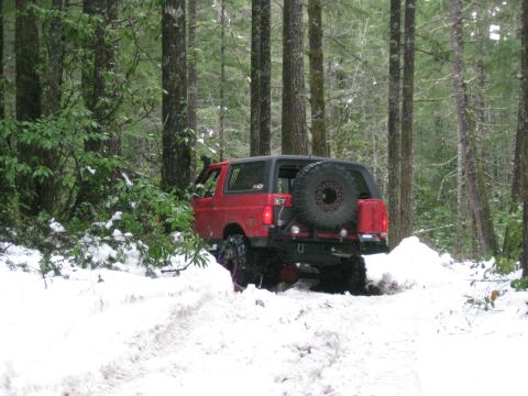 1979 Ford Bronco - Red SUV navigates a snowy forest trail, kicking up snow.