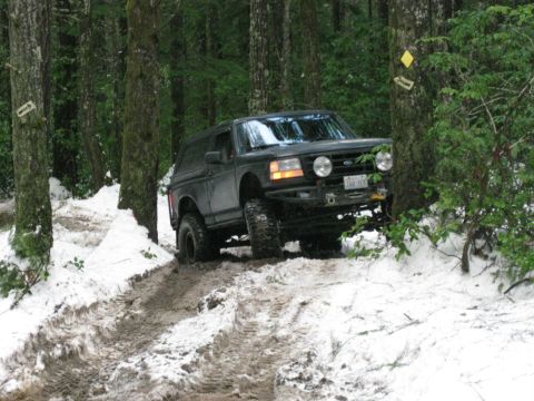 1979 Ford Bronco - A Ford Bronco navigates a challenging snowy and muddy path in a dense forest environment.