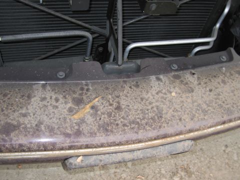 1991 Ford LTD Crown Victoria - Photograph of a vehicle front bumper area, not a technical document.