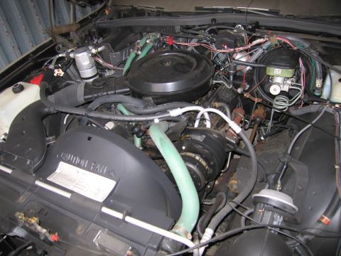 1991 Ford LTD Crown Victoria - Photograph of an engine compartment, not a technical document.
