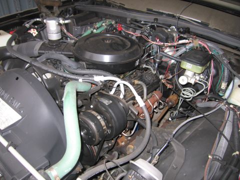 1991 Ford LTD Crown Victoria - Photograph of an installed engine and its accessories, not a technical document.