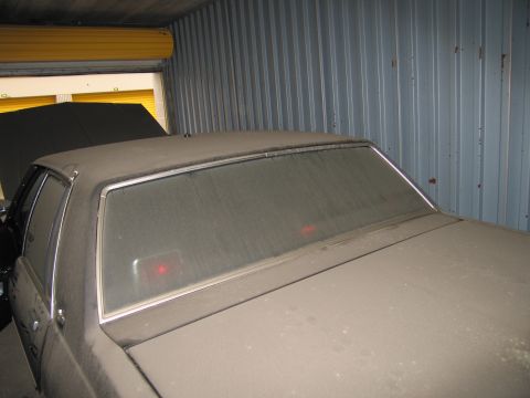 1991 Ford LTD Crown Victoria - Photograph of a vehicle roof and rear window, not a technical document.