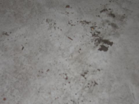 1991 Ford LTD Crown Victoria - Photograph of a concrete floor, not a technical document.