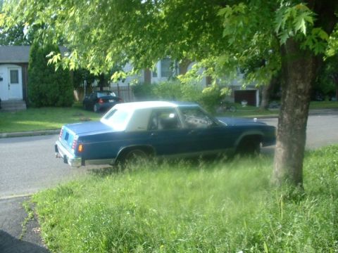 1987 Ford Crown Victoria LTD - A blue sedan with a white vinyl roof is parked on the side of the road, partially obscured by trees and grass.