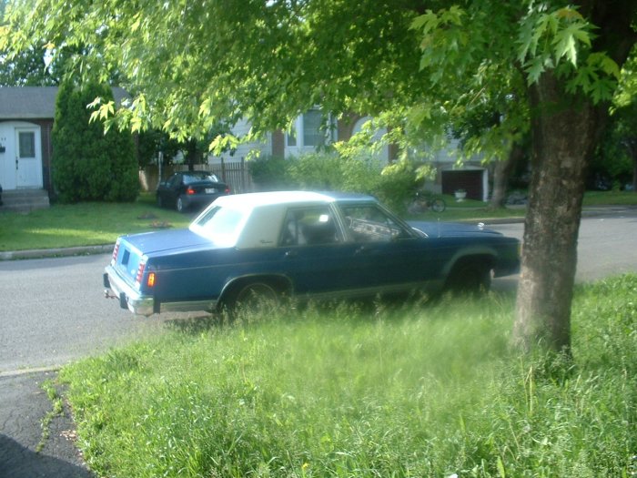 Blue sedan with a white vinyl roof parked on a grassy roadside