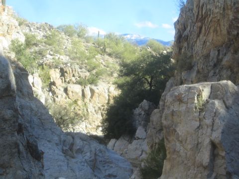1968 Ford Mustang - A view through a rocky canyon reveals sparse desert vegetation and snow-capped mountains under a clear blue sky.