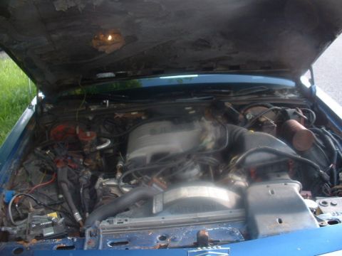 1987 Ford Crown Victoria LTD - The engine bay of a blue 1987 Ford Crown Victoria LTD is visible with the hood raised.