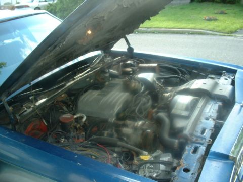 1987 Ford Crown Victoria LTD - The engine bay of a blue car is visible with the hood open, showing various engine components and wiring.