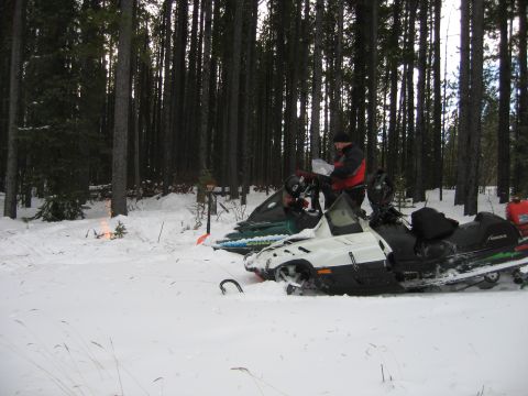 1999 Arctic Cat Powder Special 600 EFI “Pickle”