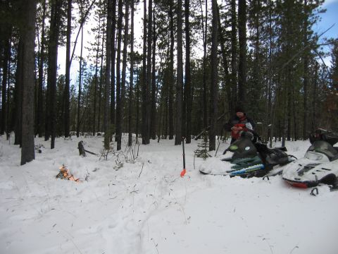 1999 Arctic Cat Powder Special 600 EFI “Pickle”