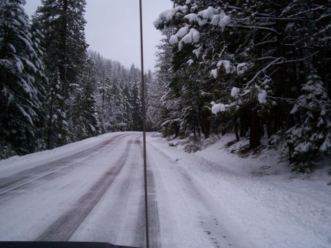 1986 Ford Bronco - Driving through a snow-covered forest road, the view from inside the vehicle shows tire tracks on the wet pavement.