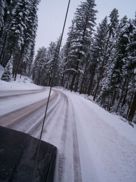 1986 Ford Bronco - Driving through a snowy forest road, tire tracks visible on the icy surface.