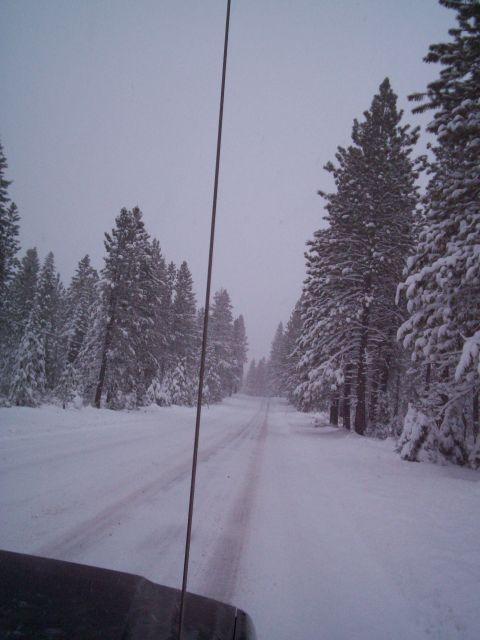 1986 Ford Bronco - A vehicle travels down a snow-covered road surrounded by pine trees in a winter landscape.
