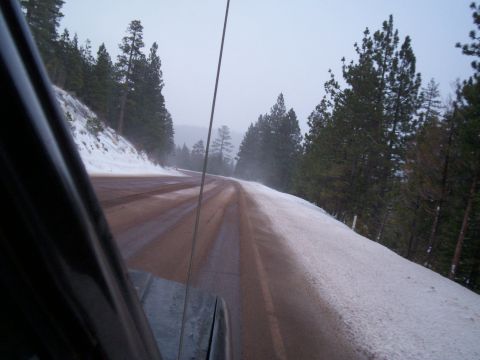 1986 Ford Bronco - Driving on a snowy, muddy road through a forest with pine trees.